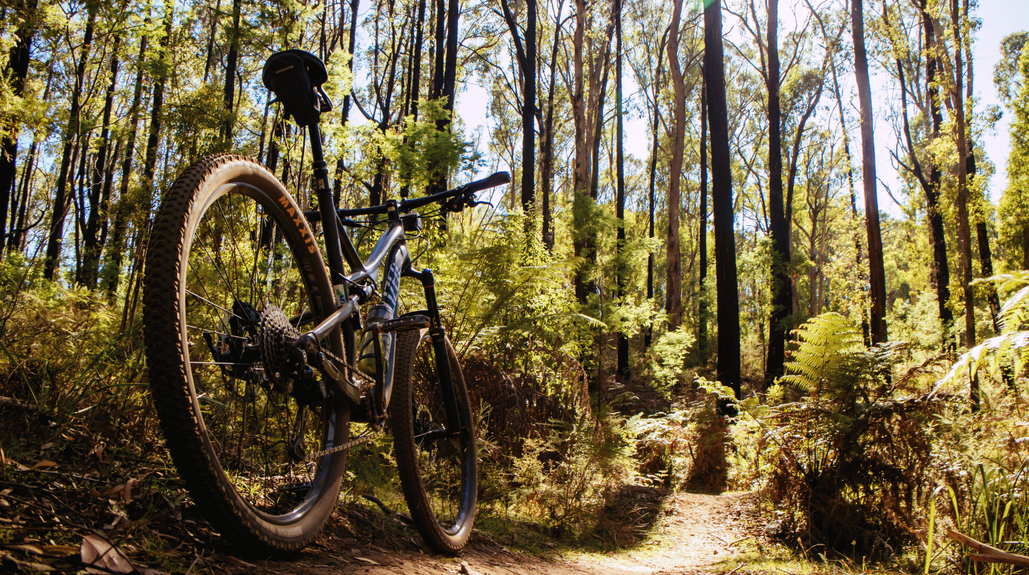 Randonnée été Tremblant